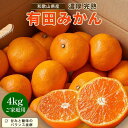 【ふるさと納税】【先行予約】有田育ちのご家庭用 完熟有田みかん4kg【2024年11月上旬より発送】【訳あり】 | フルーツ 果物 くだもの 食品 人気 おすすめ 送料無料