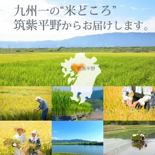 米 食べ比べ 10kg 特A米 元気つくし A米 夢つくし 各5kg 計2袋 福岡県産 白米 コメ _イメージ2