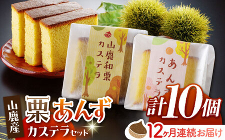 【12回定期便】カステラセット 山鹿和栗 & あんず 計10個 【株式会社あんず】[ZBT012]