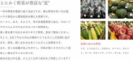 道の駅まくらがの里古河　季節の新鮮野菜おまかせAセット ※北海道・沖縄・離島への配送不可 _BQ03