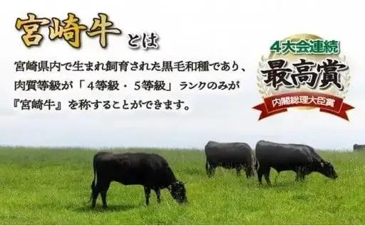 《2026年8月発送》宮崎牛モモブロック 1kg_K033-042-2608
