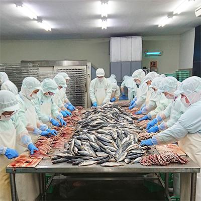 ふるさと納税 西伊豆町 藤文の「堂ヶ島セット」 |  | 02
