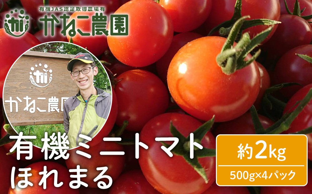 
                  【2026年7月下旬より発送】甘さに惚れる！北海道千歳産 有機栽培ミニトマト 「ほれまる」 2kg（500ｇパック*4）【かねこ農園】
                