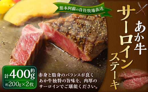 あか牛 サーロインステーキ 約400g（あか牛サーロインステーキ 約200g×2枚） 肉 お肉 牛肉 和牛 褐毛和種 国産 九州産 冷凍 熊本県 湯前町