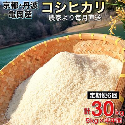 ふるさと納税 亀岡市 【毎月定期便】農家直送!佐伯の里 源流米 京都丹波産コシヒカリ5kg全6回
