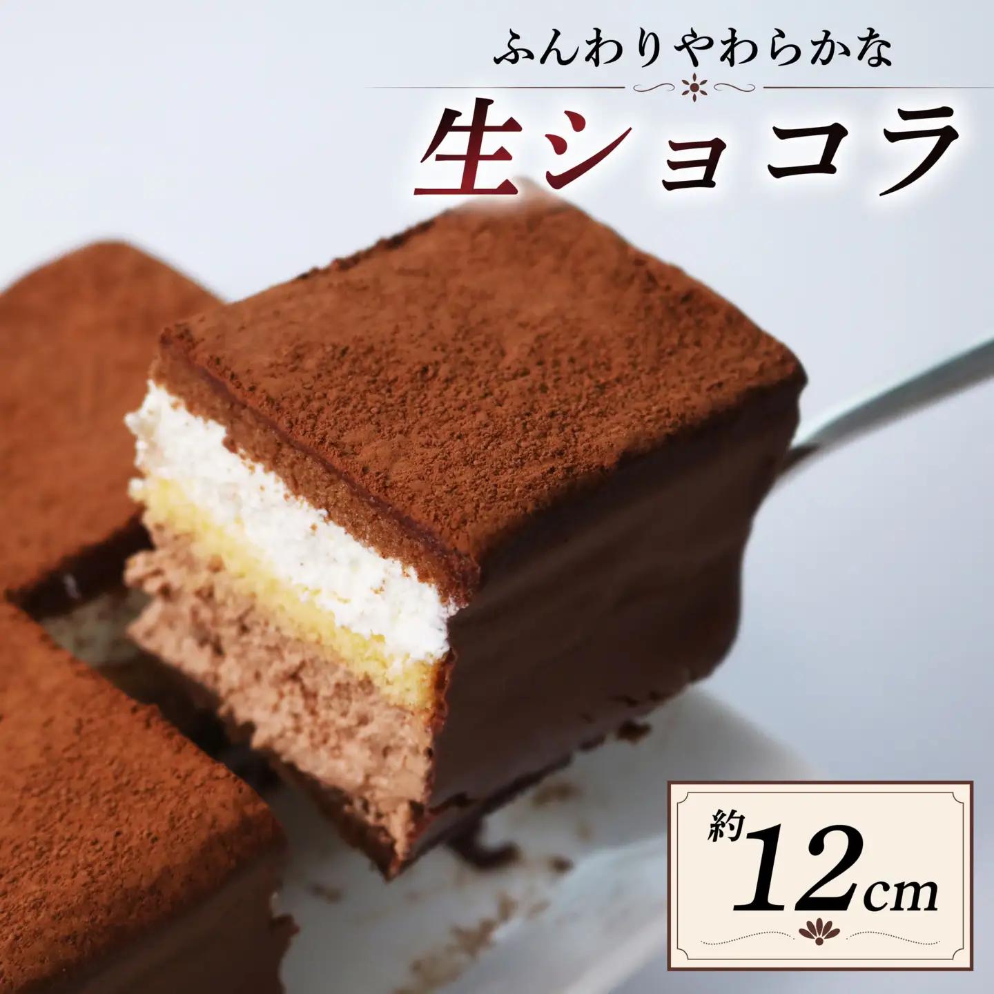 スイス産チョコレートのチョコレートケーキ 「ショコラdeショコラ」 冷凍 ケーキ