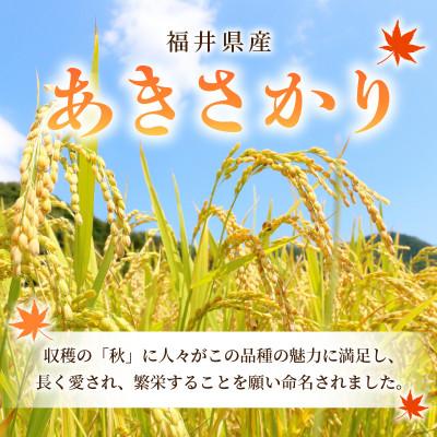 ふるさと納税 越前町 令和7年産　あきさかり(精米)　3kg |  | 01