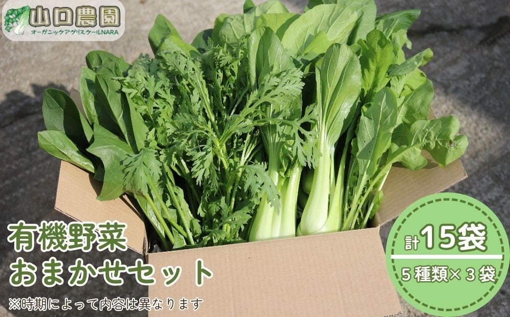 
                  （チルド）　山口農園　有機野菜　おまかせセット ／山口農園 有機野菜 伝統野菜 オーガニック ベジタリアン 無農薬 野菜セット 送料無料 無農薬 農家直送 ふるさと納税 詰め合わせ 奈良県 宇陀市 ふるさと納税
                
