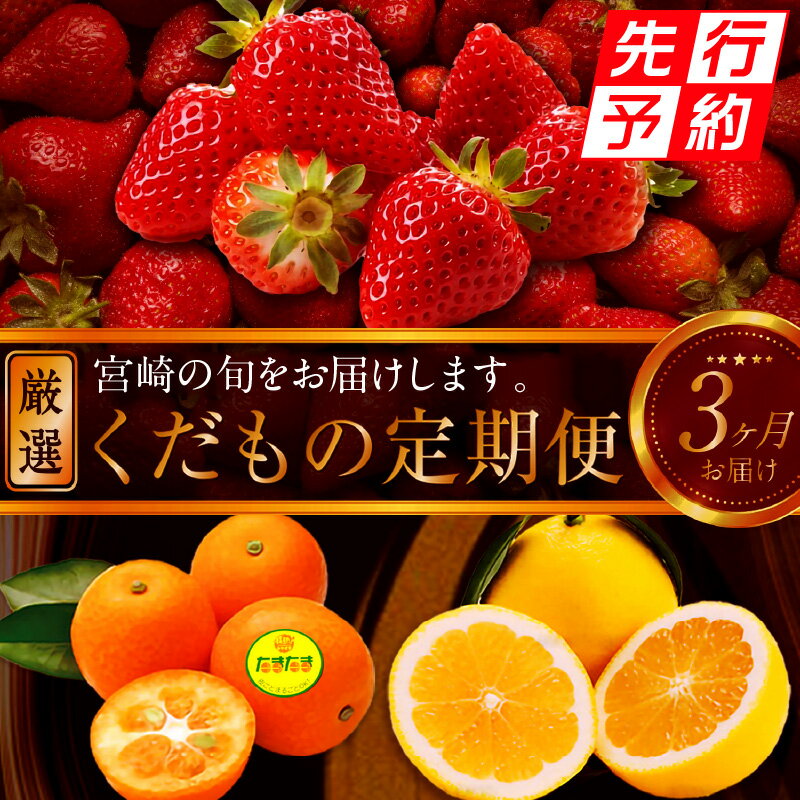 【ふるさと納税】《2026年発送先行予約》【数量・期間限定】青果店厳選！「3ヶ月お届け！くだもの定期便Vol.1」 いちご きんかん たまたま 日向夏 完熟きんかん 種無し日向夏 果物 フルーツ 柑橘 甘さ 酸味 特別 果皮 旬 グルメ おすすめ 人気 ギフト 贈答 宮崎県 宮崎市