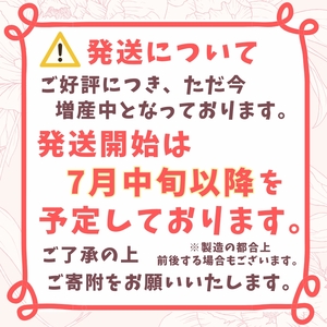 《ふるさと納税限定》蓮花ちゃんぬいぐるみ　50cm（1体）【シンプル梱包】 ／ ゆるキャラ ご当地キャラ グッズ マスコット コレクション ぬいぐるみ 奈良県 葛城市【kckk006-1】
