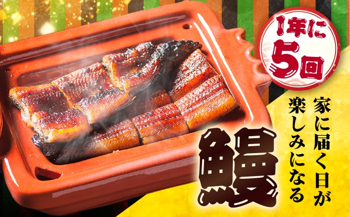 国産 うなぎ 鰻 ウナギ 蒲焼 うなぎ 蒲焼き うなぎ うなぎ ウナギ 定期便 鰻 うなぎ ウナギ 鰻 人気 unagi 冷凍
