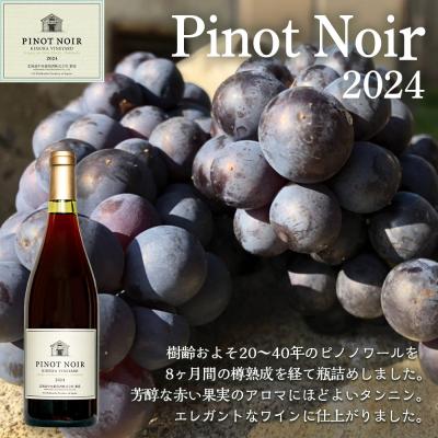 ふるさと納税 千歳市 【数量限定】北ワインピノノワール2024&北ワインケルナー2025　 750mlx各3本 |  | 01