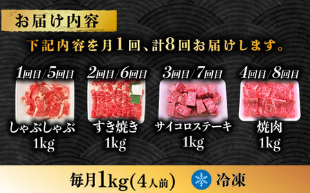 【8回定期便】 飛騨牛を食べつくす！ 飛騨牛 プレミアム 定期便 4人前 ( しゃぶしゃぶ × すき焼き × サイコロステーキ × 焼肉 ) 各1kg A4等級以上  多治見市 / 渡辺精肉店 和牛 