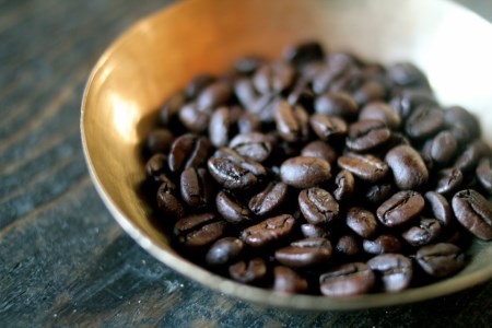 有機 森のおと 珈琲