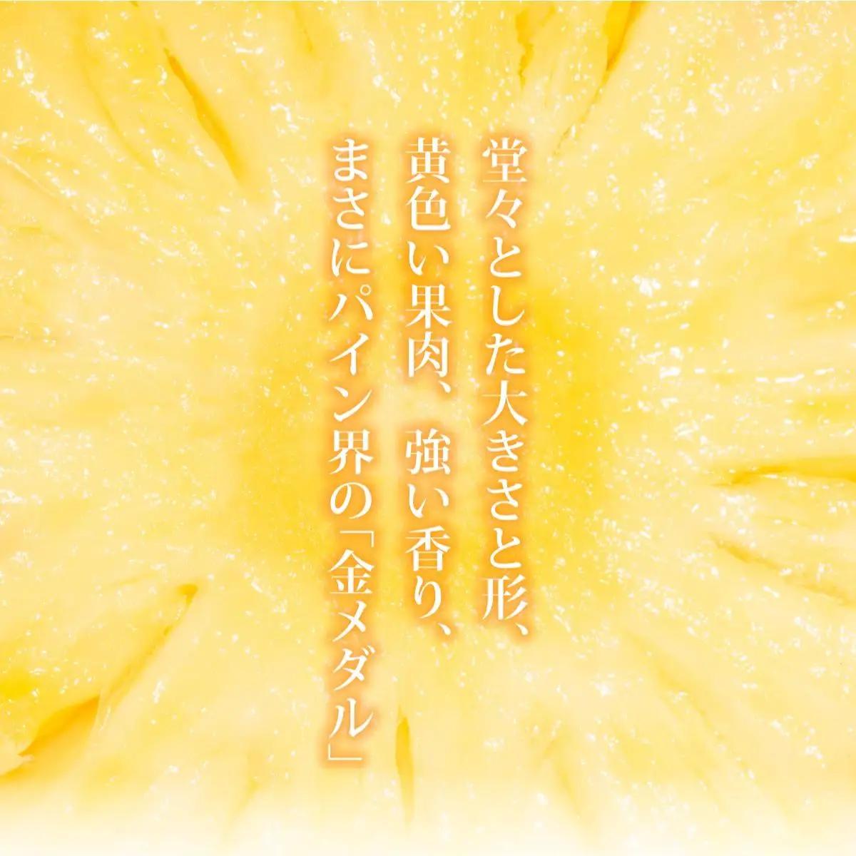 パイナップル  石垣島産 黄金パイン 中玉 4玉 約5.2kg 