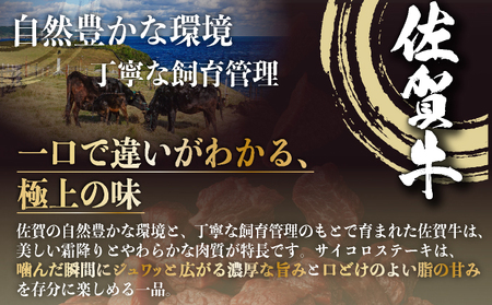 佐賀牛サイコロステーキ400g