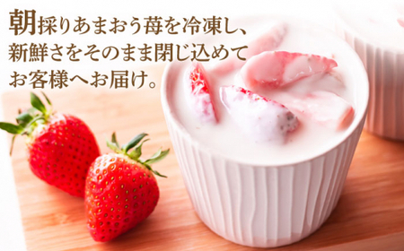 【全6回定期便】【訳あり】博多和牛 サーロインステーキ ＆ あまおう セット1.3kg＜株式会社MEAT PLUS＞ 那珂川市 定期便 いちご フルーツ くだもの 果物 あまおう 九州産 苺 国産 わ