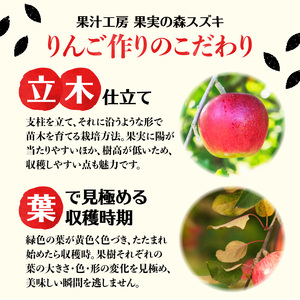 大江の恵6本ギフト山ブドウ原液・ラ・フランス・ぶどう・紅玉各1000ml） 003-023