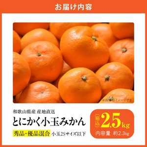 【2026年先行予約】みかん とにかく 小玉 箱込 2.5kg ( 内容量 2.3kg ) 2Sサイズ以下 秀品 優品 混合 有田みかん 和歌山県産 産地直送 【みかんの会】_MK1000