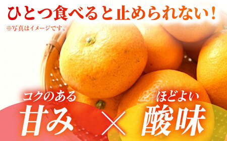 【先行予約】【数量限定】【訳あり】家庭用 みかん 約3kg 詰め合わせ 柑橘【合同会社 社方園】[ZBZ020]