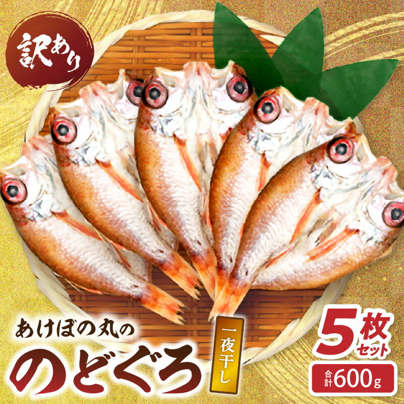 【ふるさと納税】【訳あり数量限定】あけぼの丸ののどぐろ一夜干し5枚セット合計600g【146_2035】