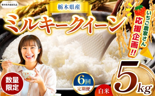 【栃木県共通返礼品】【先行予約】【定期6回】 訳あり 数量 限定 令和8年度産 ミルキークイーン 約 5kg | とちぎの星 ミルキークイーン  玄米 白米 ごはん おいしい  ふるさと納税 那珂川町 栃木県