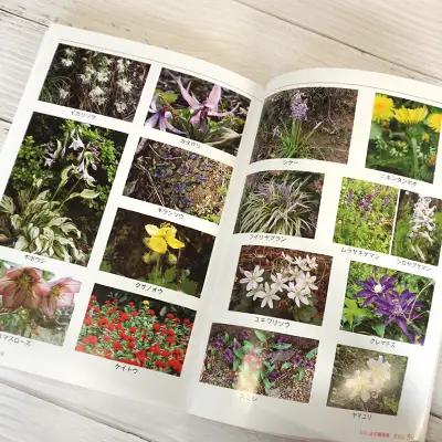 No.1148　写真集 ふくしまの桃源郷「花見山」