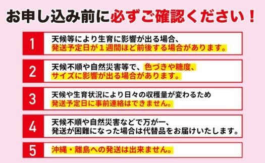 玉数はサイズに合わせて調整となります