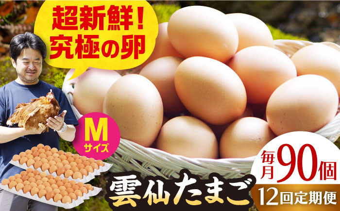 
【全12回定期便】雲仙たまご Mサイズ90個(85個＋割れ補償5個入り) 長崎県/塚ちゃん雲仙たまご村 [42ACAE022] 卵 玉子 タマゴ 鶏卵 長崎 島原 九州
