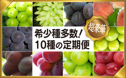 ＜2025年発送＞山梨県笛吹市産日本一のフルーツの里から定期便コース（全10種） シャインマスカット ブラックシャイン など希少品種含む  097-010