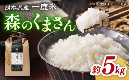 【先行予約】【天日塩を使用】一鹿米 森のくまさん 白米 5kg【株式会社 夢アグリ】[ZCL001]