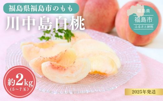 
No.1689もも 川中島白桃 約2kg【2025年発送　先行予約】
