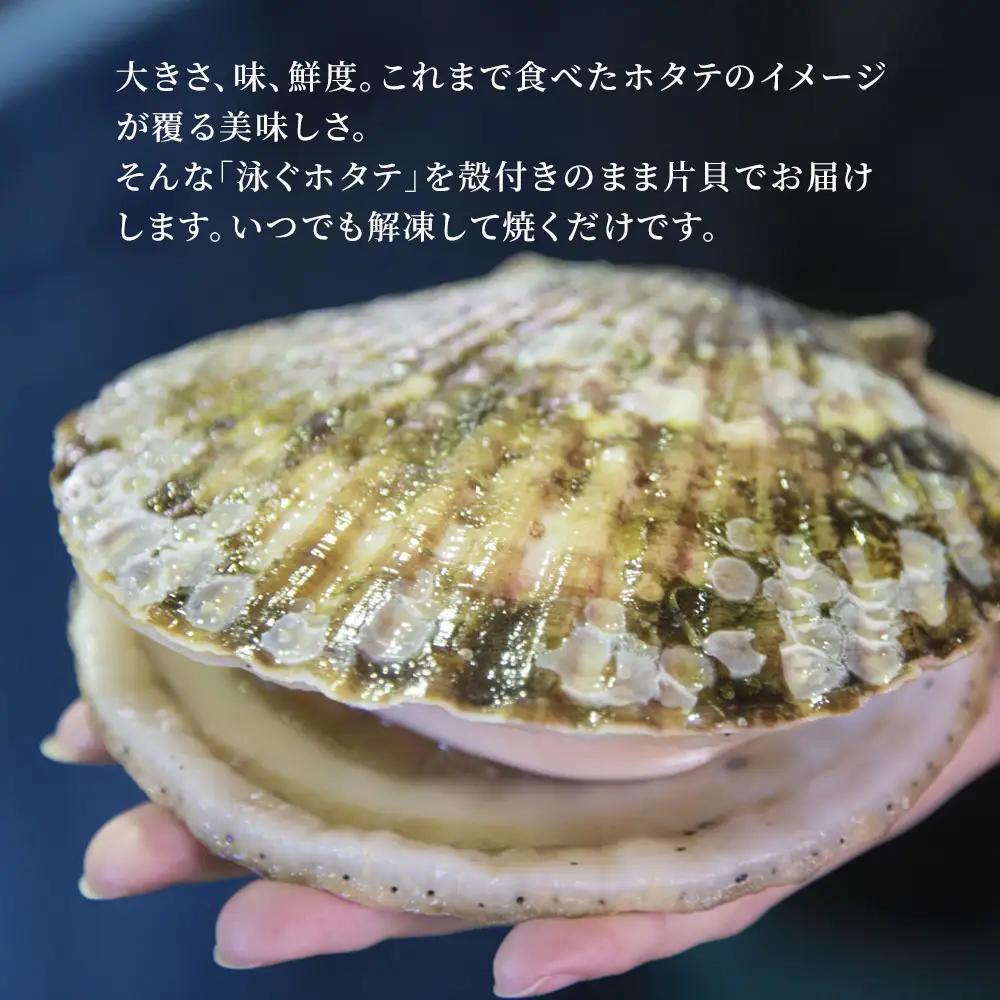 fn-39-004 泳ぐホタテのハーフシェル ヤマキイチ商店