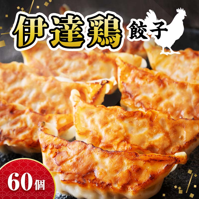 【ふるさと納税】福島県 伊達市産 【リピーター多数】旨味たっぷり 伊達鶏 餃子 60個入り（12個×5パック） 冷凍 銘柄鶏 ブランド鶏 ぎょうざ ギョーザ お手軽餃子 薄皮 特製あん だてどり 鶏肉餃子 惣菜 F21C-275