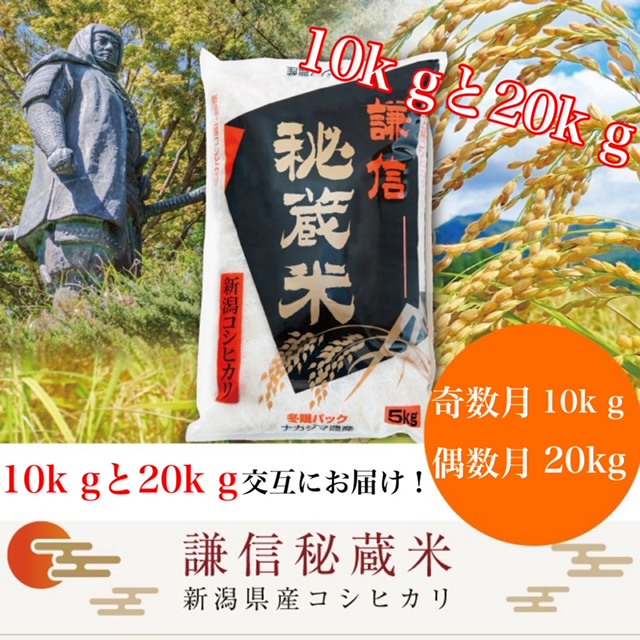 【先行予約｜10月上旬より順次出荷】定期便 12回 月替わり発送(奇数月10kg偶数月20kg)(全12回)  10kg 20kg 米 新潟県産 コシヒカリ  精白米 謙信秘蔵米  お米  こめ コメ おこめ おすすめ こしひかり 新潟 にいがた 新潟米 上越 上越産 上越米 ふるさと納税 定期便 人気