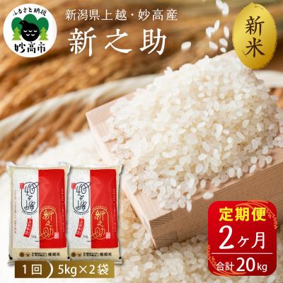 ふるさと納税 妙高市 2025年12月下旬より発送【定期便】令和7年産新潟県上越・妙高産新之助10kg×2回(計20kg)