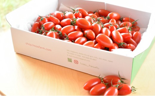 
HOSONOFARMプレミアムミニトマト「スピカ」2kg [№5644-0651]
