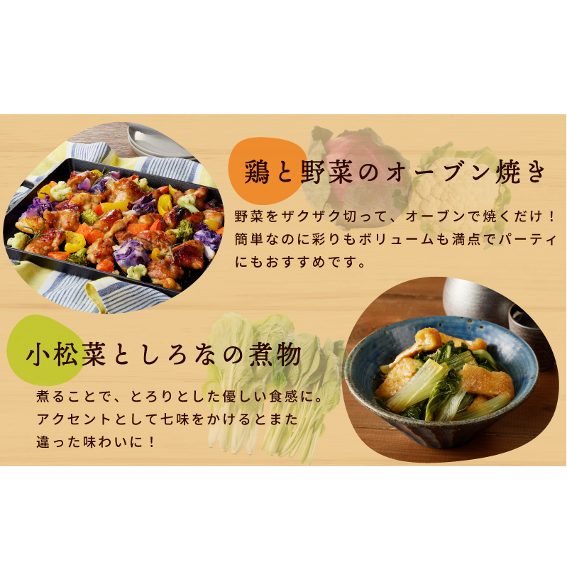 季節の泉州野菜 12種 おまかせセット ピクルスの素 2袋付き いずみピクルス NSW 010B1549_イメージ5