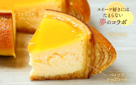 ムッシュフロマージュ 約4.5号 2個 スイーツ お菓子 [A-08215]