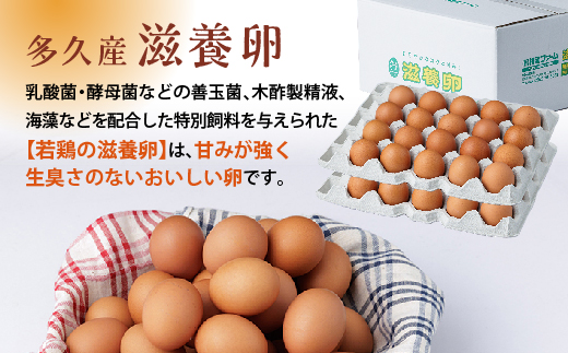 まろやかなコクと甘み！多久産 滋養卵 40個 卵 若鶏の滋養卵 _a-92