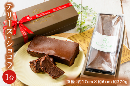 テリーヌショコラ  1台 チョコレート スイーツ テリーヌショコラ