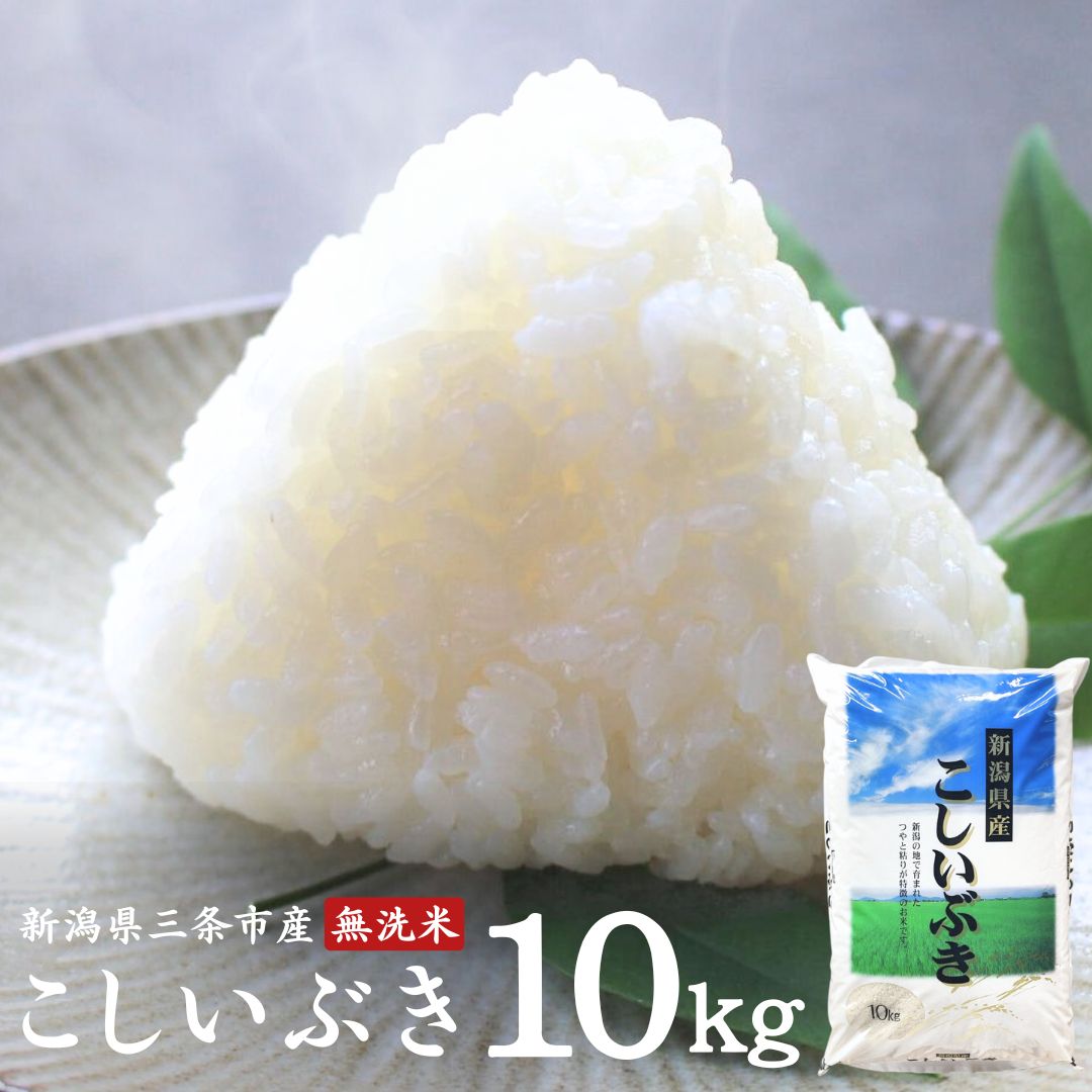 【ふるさと納税】無洗米 こしいぶき 10kg 新潟県三条市産米 令和7年産 [外山敏雄商店]【010S254】