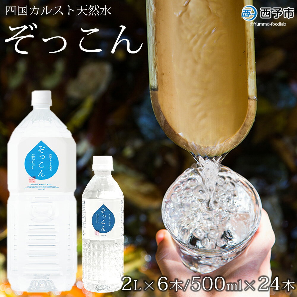 【ふるさと納税】＜四国カルスト天然水ぞっこん 2L×6本+500ml×24本＞飲料 水 みず 中硬水 弱アルカリイオン水 ペットボトル ウォーター バナジウム 備蓄 防災 非常用 キャンプ アウトドア 国産 特産品 ぞっこん四国 愛媛県 西予市【常温】『1か月以内に順次出荷予定』