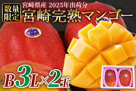 ★ANA限定★2025年出荷★予約受付！数量限定＜宮崎県産 完熟マンゴー B3Lサイズ×2玉＞4月以降順次出荷【 ANA限定 ANAオリジナル マンゴー まんごー 完熟マンゴー 宮崎名物 マンゴー 数量限定 マンゴー 期間限定 マンゴー 果物 マンゴー フルーツ マンゴー スイーツ マンゴー マンゴー -】