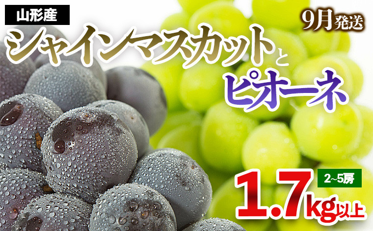 
やまがたのぶどう シャインマスカット＆ピオーネ 秀品 約1.7kg(2～5房程度) [9月発送] 【令和6年産先行予約】FS23-752
