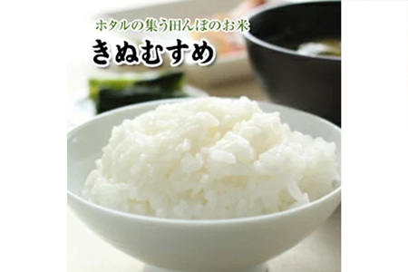 令和6年産 きぬむすめ 白米 10kg 岡山県真庭市産 /  国産 お米 ブランド米 【takenaka002】