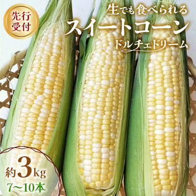 
            ＜先行受付2025年＞とうもろこし　ドルチェドリーム　約3.0kg　数量限定【1451276】
          
