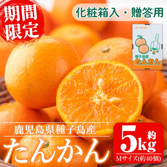 【ふるさと納税】【期間限定】＜先行予約受付中！2026年2月中旬～3月上旬の間に順次発送予定＞鹿児島県種子島産 たんかんMサイズ(5kg・約40個入り) タンカン 桶柑 柑橘 かんきつ 果物 くだもの 果実 フルーツ 旬 化粧箱 贈答用 贈り物 プレゼント【種子屋久農業協同組合】