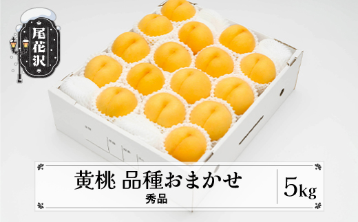 先行予約 もも 有袋黄桃 秀品 品種おまかせ 5kg  化粧箱入 フルーツ 果物 2026年産 令和8年産 山形県産 ns-mootx5-b