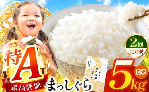 【 2回定期便 】まっしぐら 白米5kg | 米 おこめ お米 こめ コメ ごはん ご飯 白飯 ゴハン 白米 精米 特産 ブランド米 ライス 2025年産 令和7年度産 仕送り 国産 産地直送 定期便 定期 あっさり さっぱり 青森の旨い米グランプリ 最優秀賞 獲得 水稲 宝精米所 青森県 六戸町